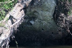 Killikus&reg; Fotographie